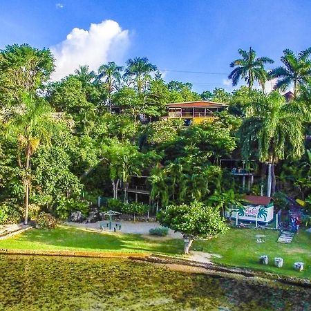 Zion Country Bed & Breakfast Manchioneal ภายนอก รูปภาพ