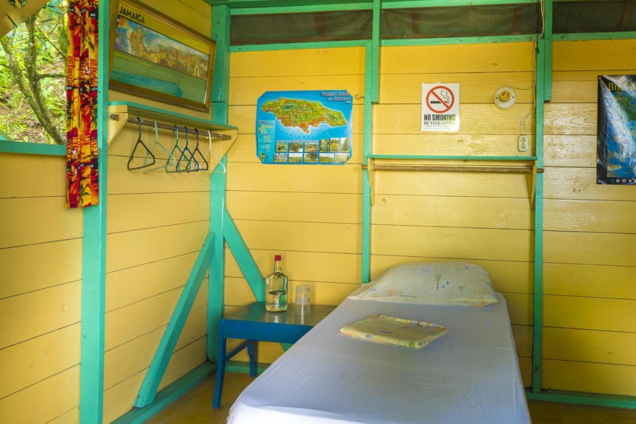 Zion Country Bed & Breakfast Manchioneal ภายนอก รูปภาพ